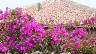 昔ながらの屋根瓦の家々に花で飾られた壁と白い道