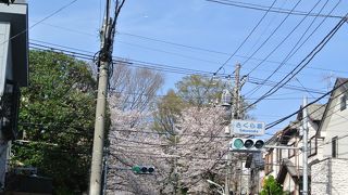 一番有名な桜坂