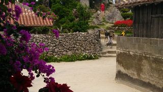 かわいい屋根がたくさん見えます