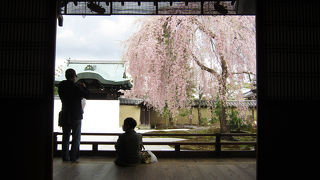 庭園が美しいお寺。