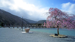 嵐山のシンボル。