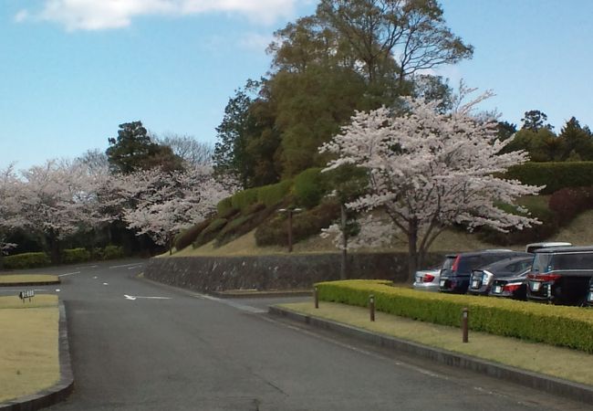 香取カントリークラブ