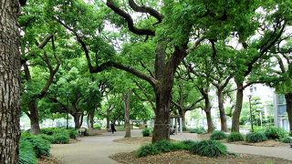 都会のオアシス