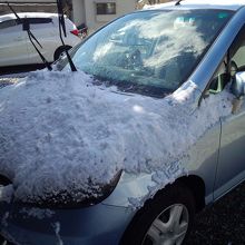 GWまで雪が降ることが多々あります、桜開花もGWあたりです