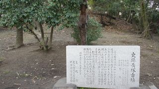 堀はないので、荒れた小山のような感じ