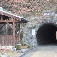 このトンネルのを抜けて右に行くと滝廉太郎記念館がありました