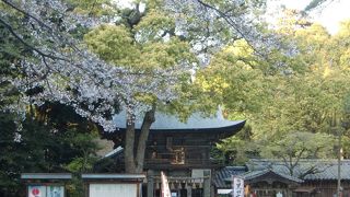 風格がある櫻井神社