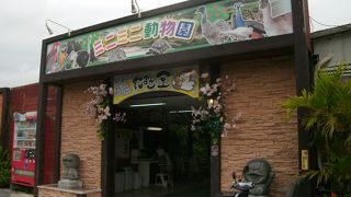 ウサギとカメの展示が中心