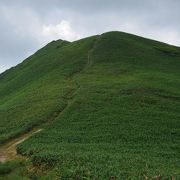 仙ノ倉山(日本二百名山)