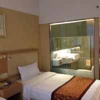 バスルームは鏡張りロールカーテンがある