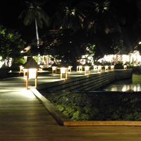 夜もロマンティックな雰囲気です。