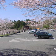 あたご山桜まつり