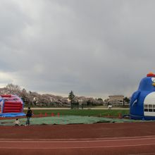 陸上競技場のフアフアペンギンとフアフアサーカス