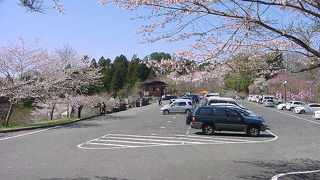 あたご山桜まつり