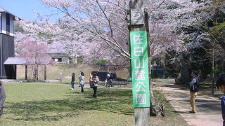 広い芝生で遊べます