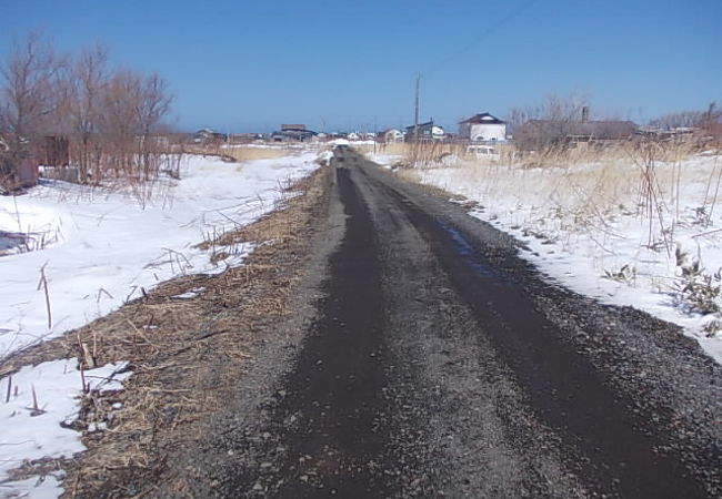 お寺らしきものが見当たりませんでした