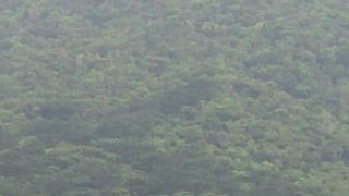 頂上からは360度の絶景です