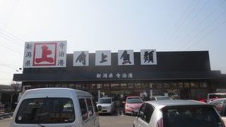 めずらしい魚がたくさん並んでいます