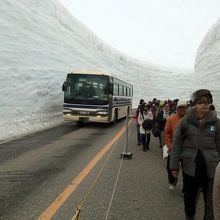 約10mの雪の大谷