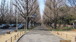 明治神宮外苑は、明治天皇・皇后の遺徳を後世に伝えるために造成され、明治神宮に奉献されたものです。