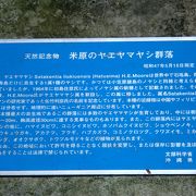 南国が味わえる場所です。