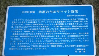 南国が味わえる場所です。