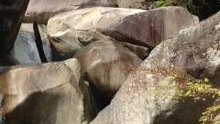 気軽に歩けます