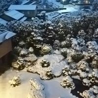 客室から見たお庭＆周辺の風景