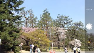 お弁当を食べている人も
