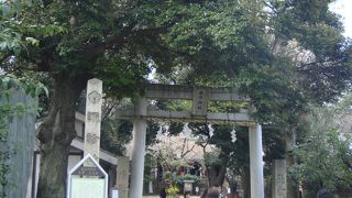 江戸有数の景勝地