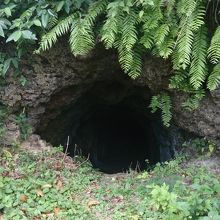 これもフルスト原遺跡の一部ですが何の遺跡なのかは？