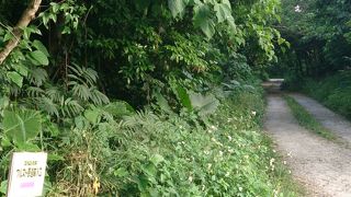 将来有名観光地になるかもしれない穴場スポット