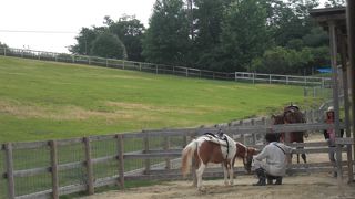 子どもが楽しめる施設