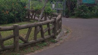 とても残念な公園でした