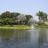 敷地内にある池。ボートも乗れます。