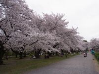 小石川植物園