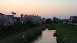 野川