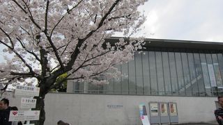 建物のデザインも美しい