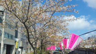 桜が見事だが・・・・・