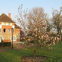 近くのマリー公園