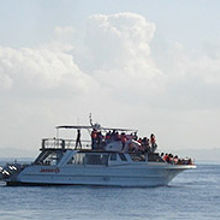 先にクジラを見つけた船に近づいてゆきます 