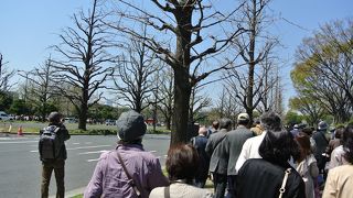 「東京都道404号皇居前東京停車場線」が正式名称、地下通路がギャラリー