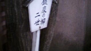 銀座のあちこちに植わっている木々への想いを感じます。