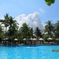 メイン・プール