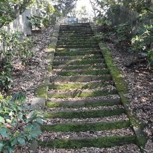 苔の石段がいい・・ここは立ち入りできません