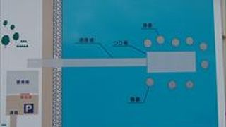 沖に突き出た場所に、魚が釣れる場所を作って、そこで釣りをするようになっています。