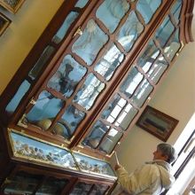 海に面していない国だからか海洋生物まで展示してある