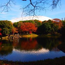 大泉水。　紅葉が見頃です!