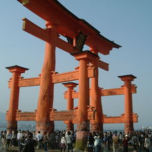 干潮は鳥居の周りは人でいっぱい