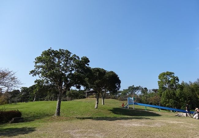 天気の良い日は数人の親子連れが楽しんでいます